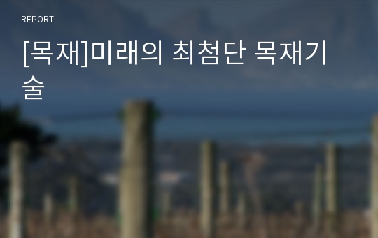 [목재]미래의 최첨단 목재기술