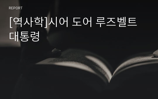 [역사학]시어 도어 루즈벨트 대통령