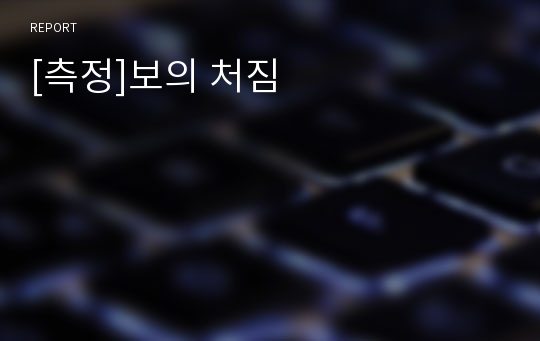 [측정]보의 처짐