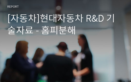 [자동차]현대자동차 R&amp;D 기술자료 - 홈피분해