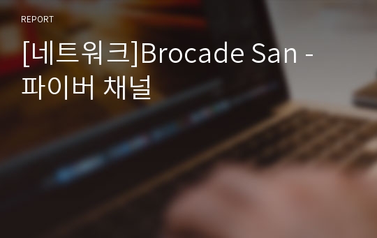 [네트워크]Brocade San - 파이버 채널