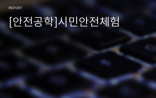 [안전공학]시민안전체험