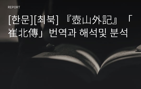 [한문][최북] 『壺山外記』「崔北傳」번역과 해석및 분석