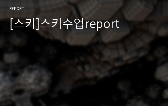 [스키]스키수업report