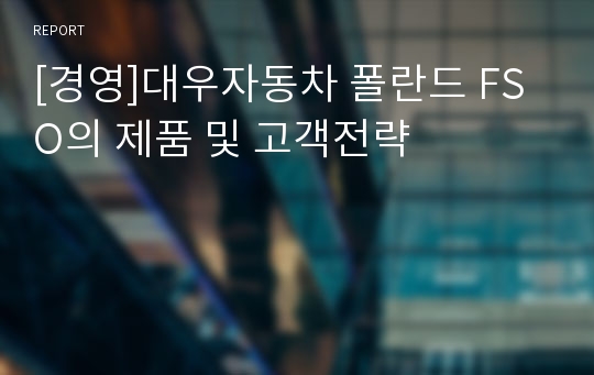 [경영]대우자동차 폴란드 FSO의 제품 및 고객전략