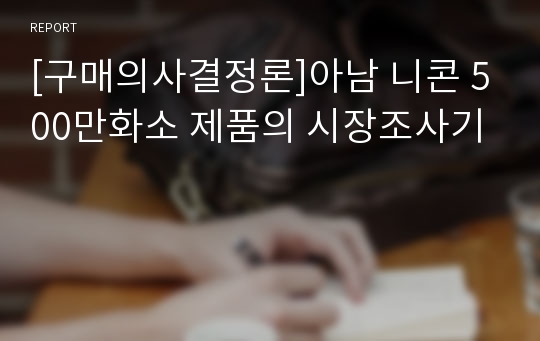 [구매의사결정론]아남 니콘 500만화소 제품의 시장조사기