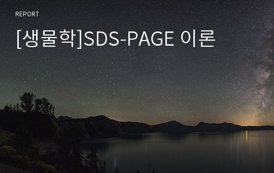 [생물학]SDS-PAGE 이론