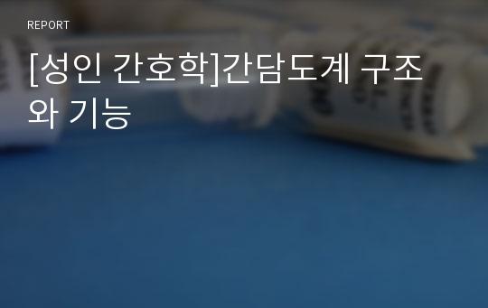 [성인 간호학]간담도계 구조와 기능