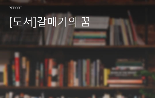 [도서]갈매기의 꿈