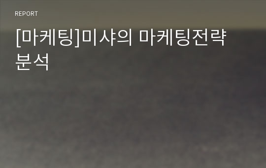 [마케팅]미샤의 마케팅전략 분석