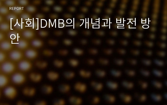 [사회]DMB의 개념과 발전 방안