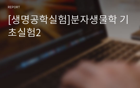 [생명공학실험]분자생물학 기초실험2