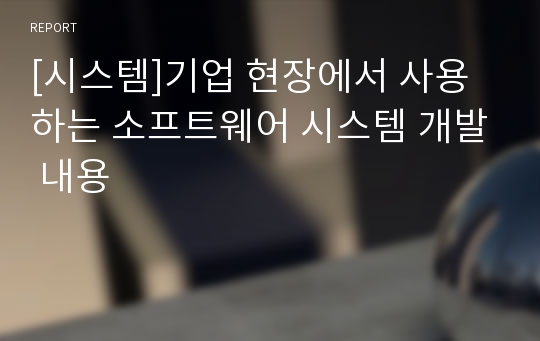 [시스템]기업 현장에서 사용하는 소프트웨어 시스템 개발 내용