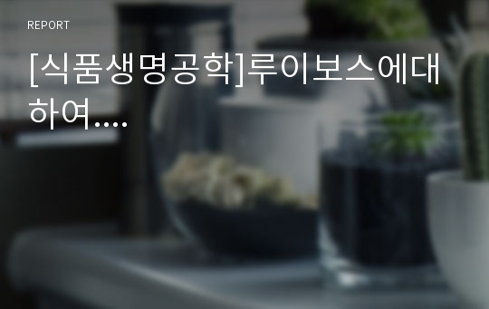 [식품생명공학]루이보스에대하여....