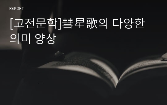 [고전문학]彗星歌의 다양한 의미 양상