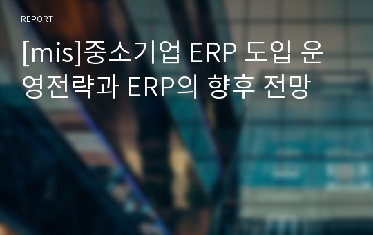 [mis]중소기업 ERP 도입 운영전략과 ERP의 향후 전망