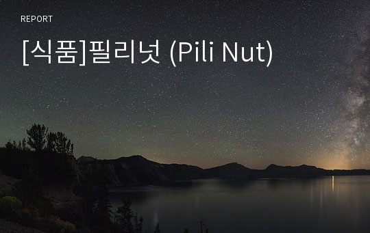 [식품]필리넛 (Pili Nut)