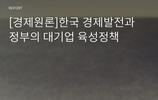 [경제원론]한국 경제발전과 정부의 대기업 육성정책