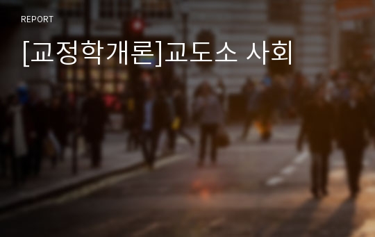 [교정학개론]교도소 사회