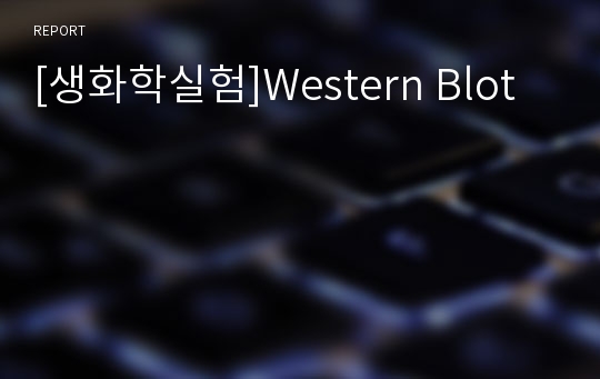 [생화학실험]Western Blot