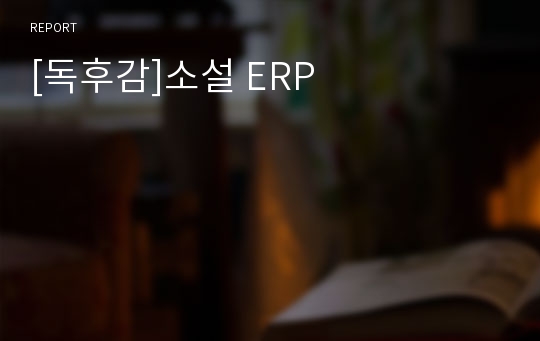 [독후감]소설 ERP