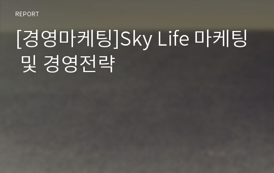 [경영마케팅]Sky Life 마케팅 및 경영전략