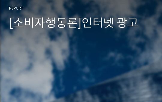 [소비자행동론]인터넷 광고