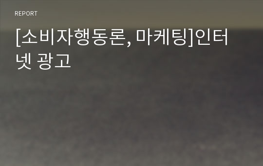 [소비자행동론, 마케팅]인터넷 광고