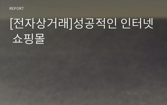 [전자상거래]성공적인 인터넷 쇼핑몰