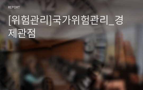 [위험관리]국가위험관리_경제관점