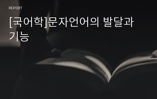 [국어학]문자언어의 발달과 기능