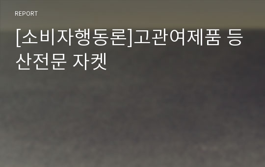 [소비자행동론]고관여제품 등산전문 자켓