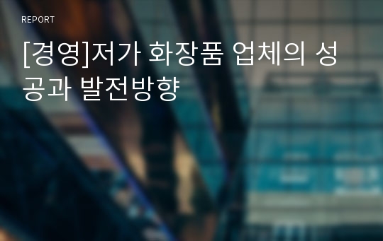 [경영]저가 화장품 업체의 성공과 발전방향