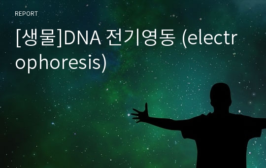 [생물]DNA 전기영동 (electrophoresis)