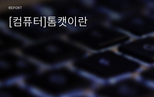 [컴퓨터]톰캣이란