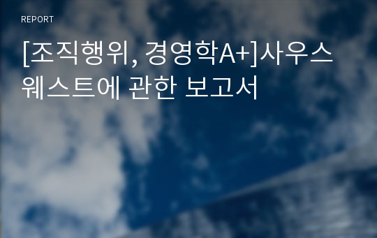 [조직행위, 경영학A+]사우스웨스트에 관한 보고서