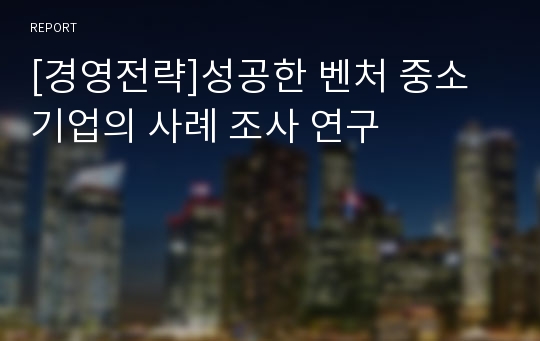 [경영전략]성공한 벤처 중소 기업의 사례 조사 연구