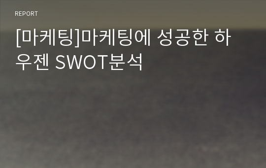 [마케팅]마케팅에 성공한 하우젠 SWOT분석