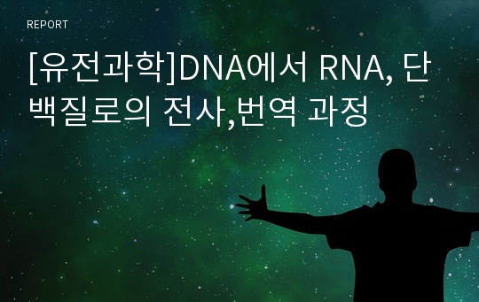 [유전과학]DNA에서 RNA, 단백질로의 전사,번역 과정