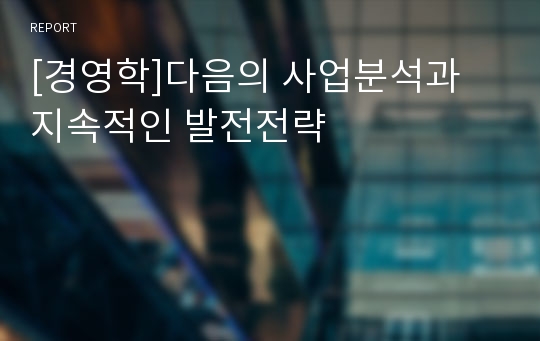 [경영학]다음의 사업분석과 지속적인 발전전략