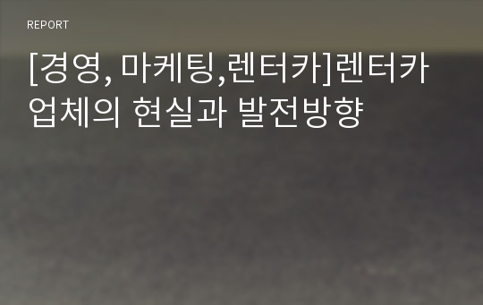 [경영, 마케팅,렌터카]렌터카 업체의 현실과 발전방향