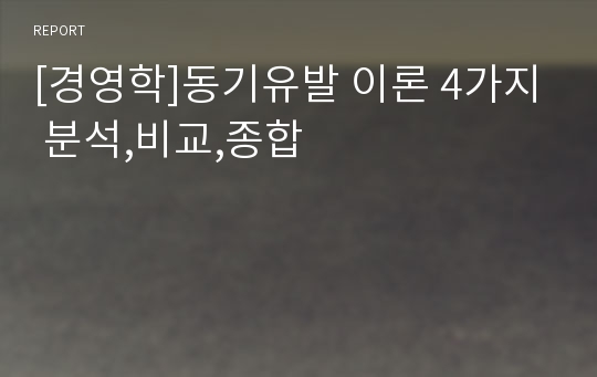 [경영학]동기유발 이론 4가지 분석,비교,종합