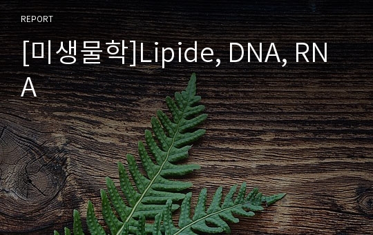 [미생물학]Lipide, DNA, RNA