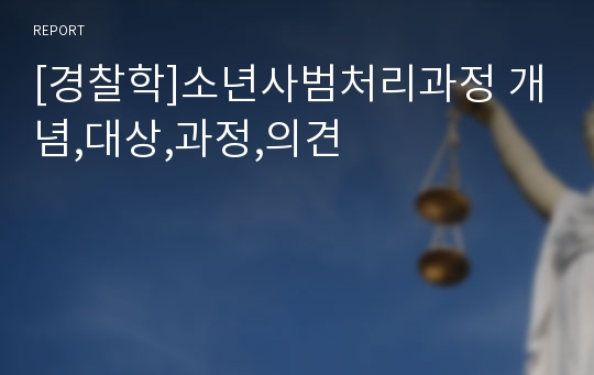 [경찰학]소년사범처리과정 개념,대상,과정,의견