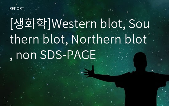 [생화학]Western blot, Southern blot, Northern blot, non SDS-PAGE