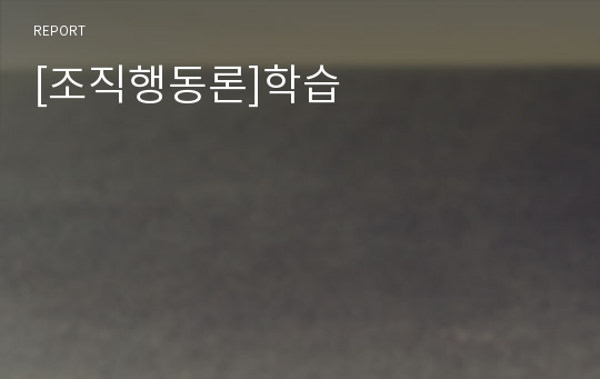 [조직행동론]학습