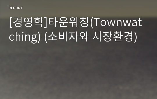 [경영학]타운워칭(Townwatching) (소비자와 시장환경)