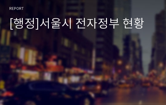 [행정]서울시 전자정부 현황