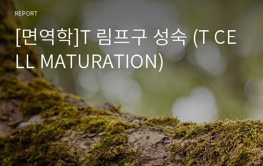 [면역학]T 림프구 성숙 (T CELL MATURATION)