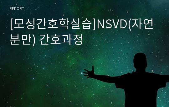 [모성간호학실습]NSVD(자연분만) 간호과정